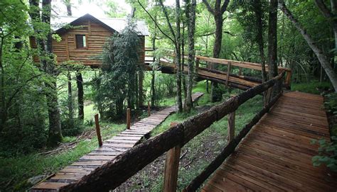 selva de irati cabaas|Seis cabañas de madera en la Selva de Irati